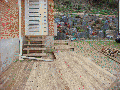 goeje 290.gif